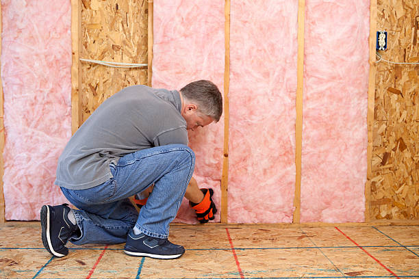 Best Commercial Insulation in Raynham Center, MA