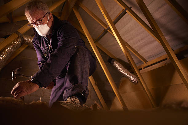 Best Insulation Maintenance and Repair in Raynham Center, MA